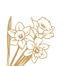 FMT0103 - Daffodils
