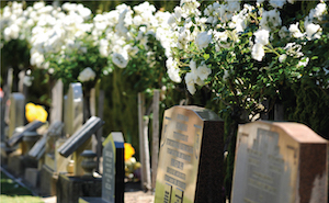 Cemeteries Cemeteries