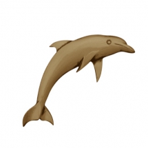 Dolphin