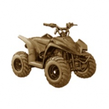 Quad Bike